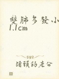 双肺多发小结节1.1cm