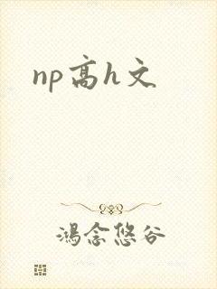 np高h文封面
