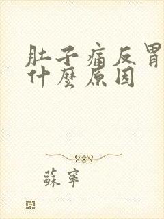 肚子痛反胃呕吐什么原因