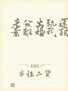 老公出轨还不愿意离婚我该怎么办封面