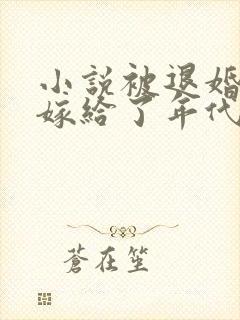 小说被退婚后我嫁给了年代文大佬