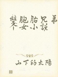 双胞胎兄弟和一个女小说