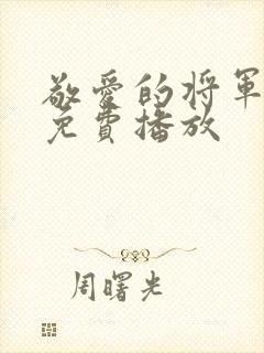 敬爱的将军全集免费播放