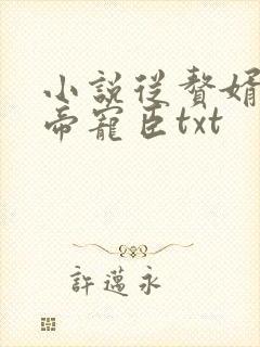 小说从赘婿到女帝宠臣txt