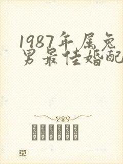 1987年属兔男最佳婚配属相