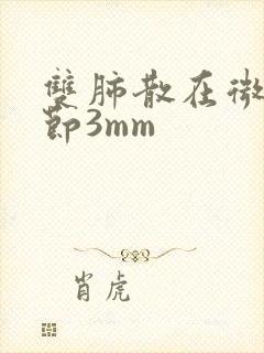 双肺散在微小结节3mm