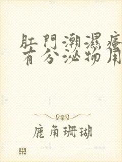 肛门潮湿瘙痒还有分泌物用什么药