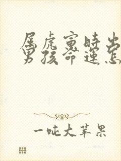 属虎寅时出生的男孩命运怎么样封面