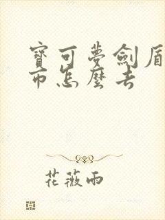 宝可梦剑盾拳关市怎么去