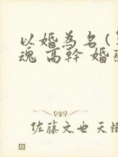 以婚为名 (军魂 高干 婚恋)