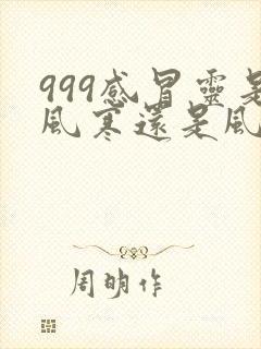 999感冒灵是风寒还是风热封面