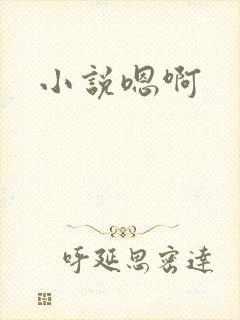 小说嗯啊