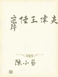 宋佳王伟夫妇图片