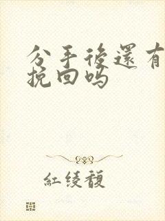 分手后还有机会挽回吗