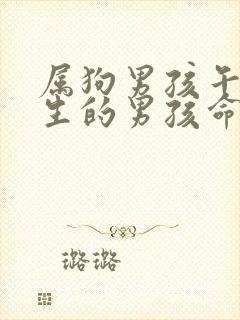 属狗男孩午时出生的男孩命运