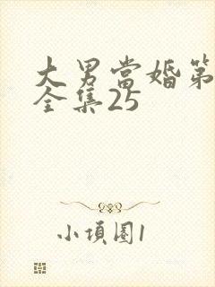 大男当婚第二部全集25封面