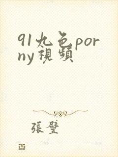 91九色porny视频