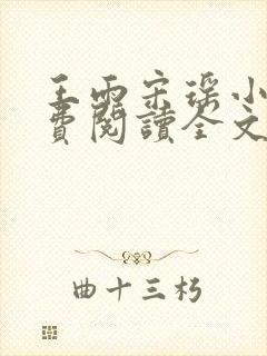 王雨宋瑶小说免费阅读全文最新章节