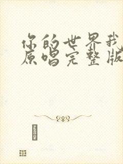 你的世界我来过原唱完整版歌词封面