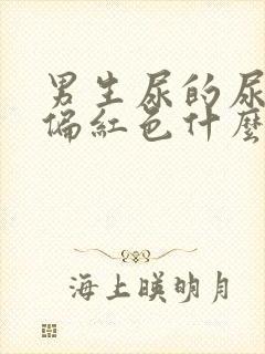 男生尿的尿有点偏红色什么原因封面