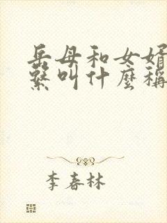 岳母和女婿的关系叫什么称呼封面