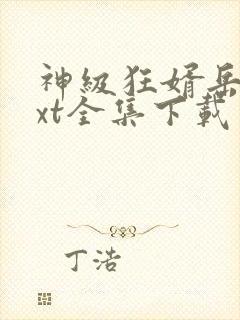 神级狂婿岳风txt全集下载