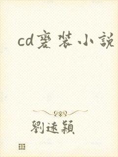 cd变装小说封面