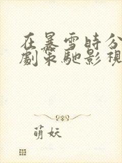 在暴雪时分电视剧策驰影视封面