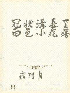 冠状沟长了一个白色小疙瘩