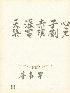 天涯赤子心38集电视剧免费观看