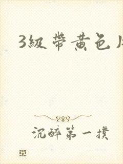 3级带黄色片
