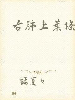 右肺上叶条索影