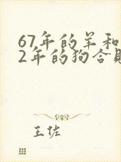 67年的羊和82年的狗合财吗