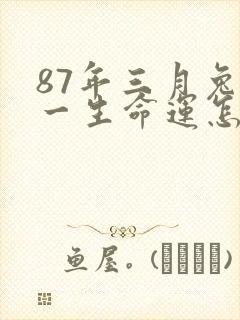 87年三月兔女一生命运怎样
