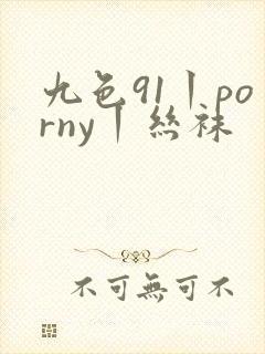九色91丨porny丨丝袜封面