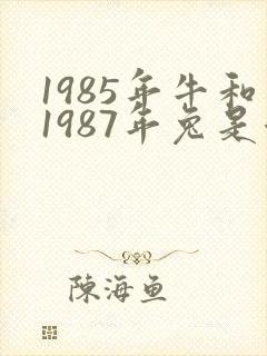 1985年牛和1987年兔是否可以婚配