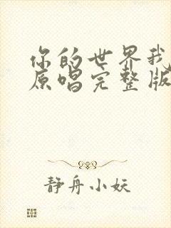 你的世界我来过原唱完整版歌词