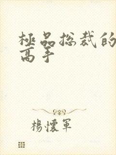 极品总裁的贴身高手封面