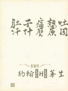 肚子痛想吐冒冷汗什么原因