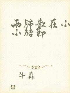 两肺散在小/微小结节封面