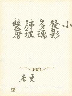 双肺多发小结节磨玻璃影封面