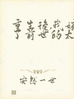 重生后,我嫁给了前世的太子姐夫