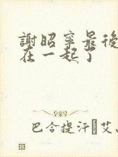 谢昭宁最后和谁在一起了