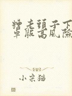 糟老头子下载安卓版高风险