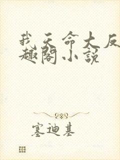 我天命大反派笔趣阁小说