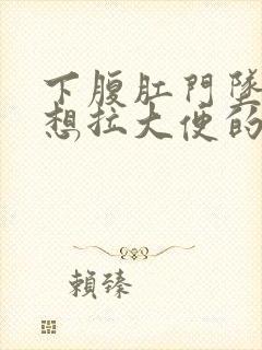 下腹肛门坠痛总想拉大便的感觉女性封面