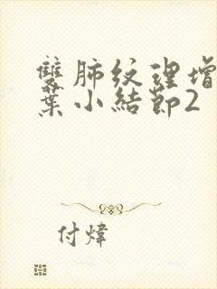 双肺纹理增多下叶小结节2