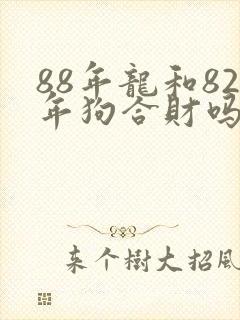88年龙和82年狗合财吗