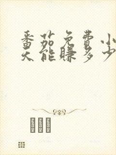 番茄免费小说一天能赚多少钱