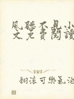 风听不见小说全文免费阅读最新章节